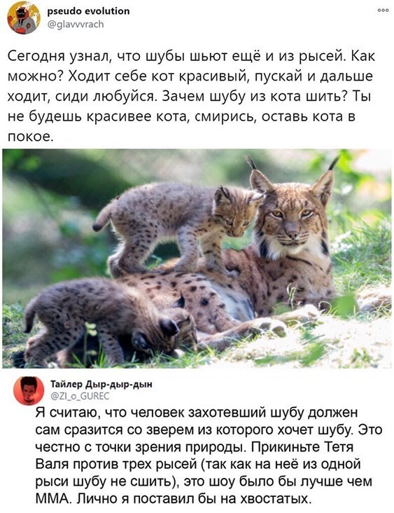 Смешные и познавательные картинки