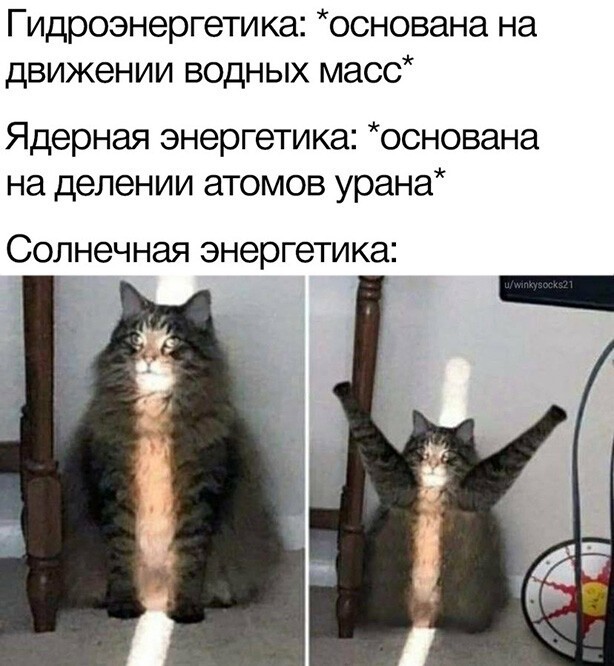 Смешные и познавательные картинки