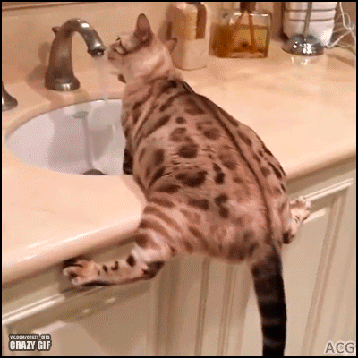 Просто гифки, всякие и разные