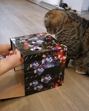 Забава для кошака