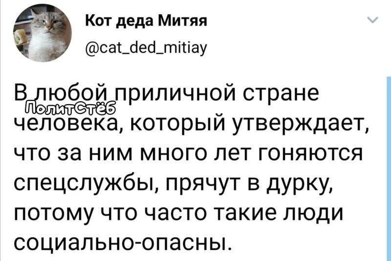 О политике и не только