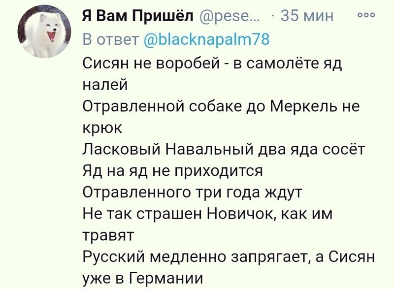 О политике и не только