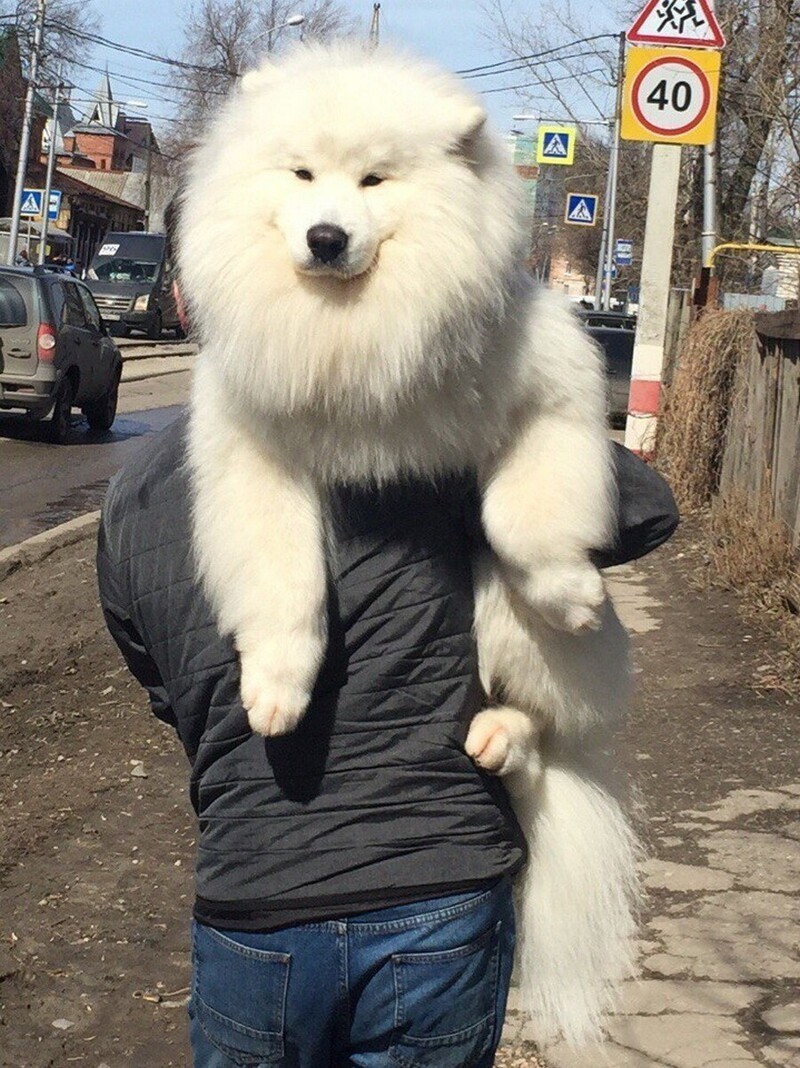 Ударим позитивом по... негативу!