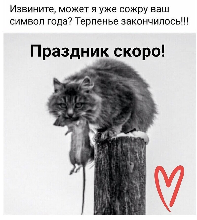 О политике и не только