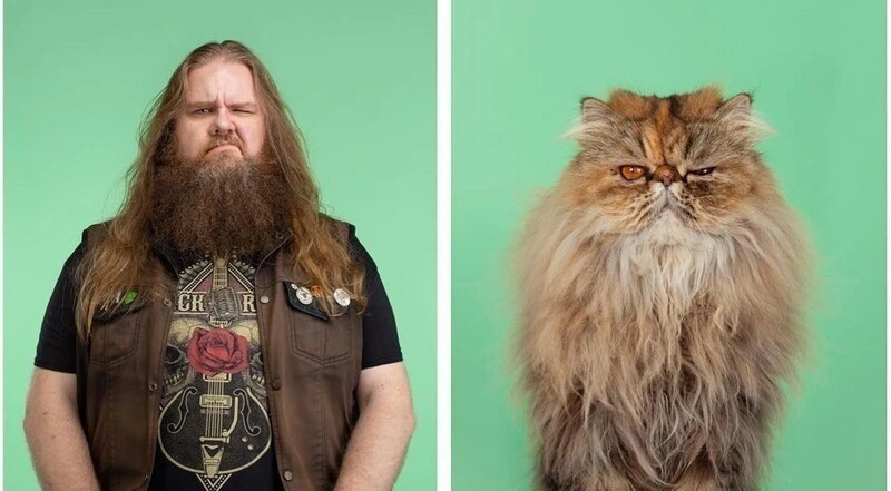 Почти не отличить: фотограф показал, как похожи коты со своими хозяевами