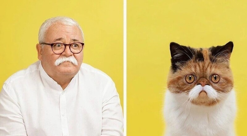Почти не отличить: фотограф показал, как похожи коты со своими хозяевами