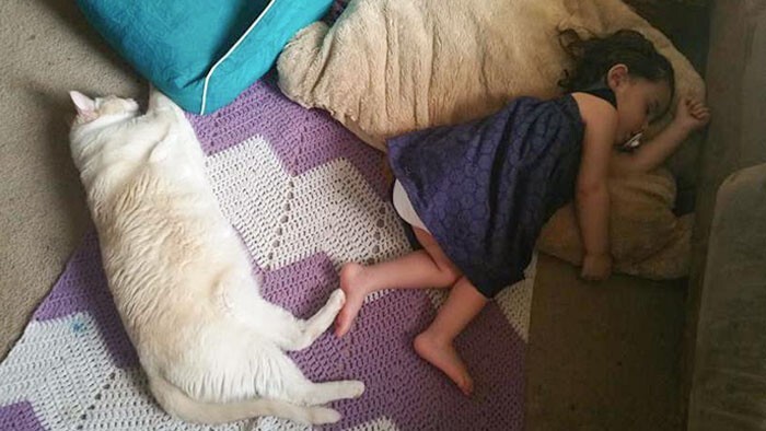 "Кот с дочкой часто спят вместе, и им обязательно нужно касаться друг друга во время сна"