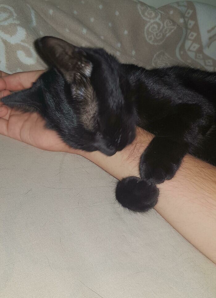 "Моя красавица спит, обнимая мою руку"
