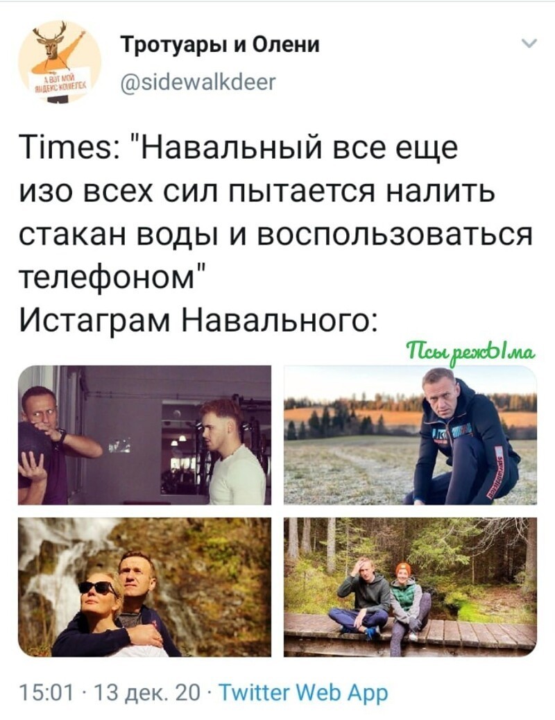 Политические скрины