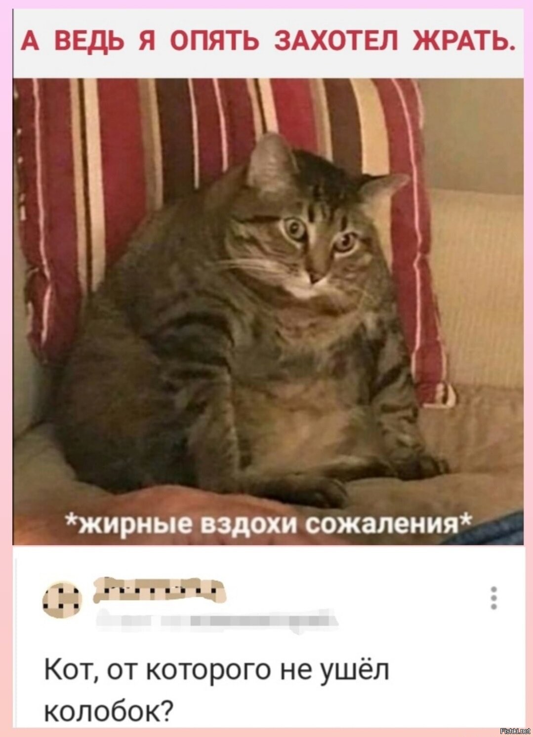 Жирные вздохи сожаления