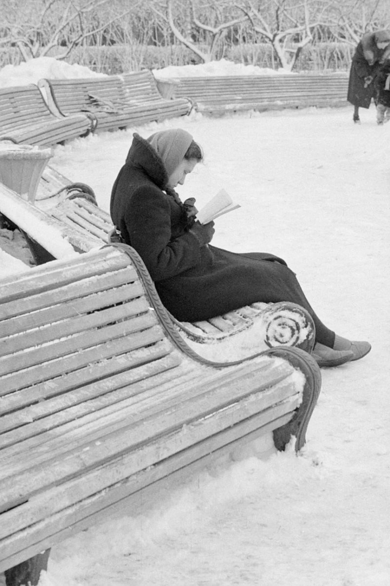 Девушка читает книгу на скамейке, Москва, 1960 год