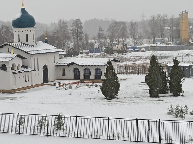 В Петербурге ёлки украли у жителей и пересадили к церкви
