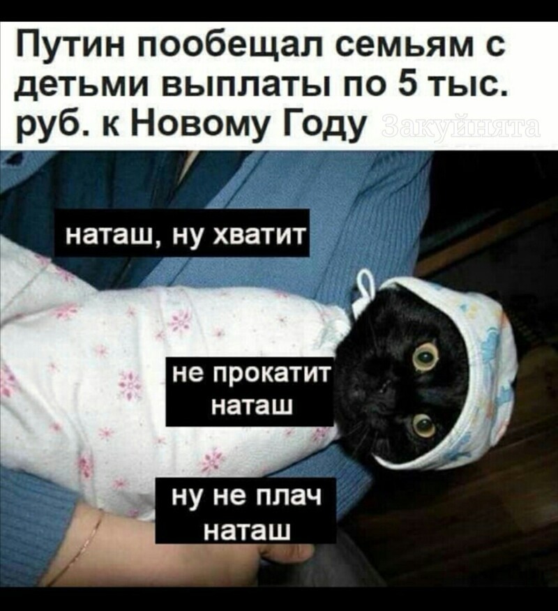 Политические скрины