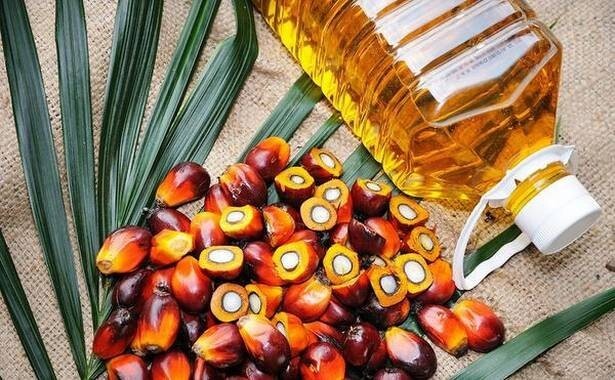 Пальмовое масло польза или вред