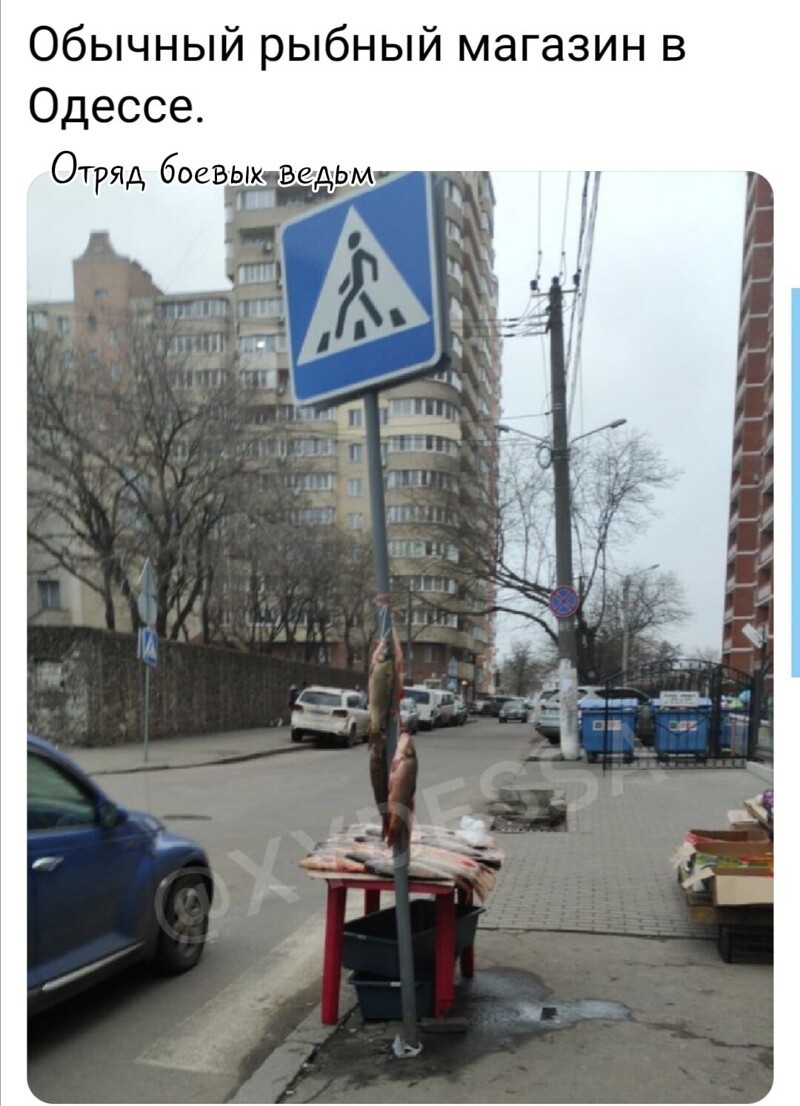 Политические скрины