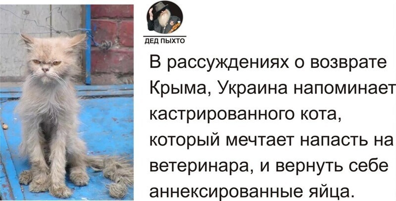 Политические скрины