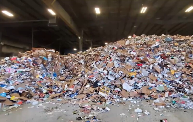Чудо в рюкзаке: сотрудники мусороперерабатывающего завода спасли котят от неминуемой гибели