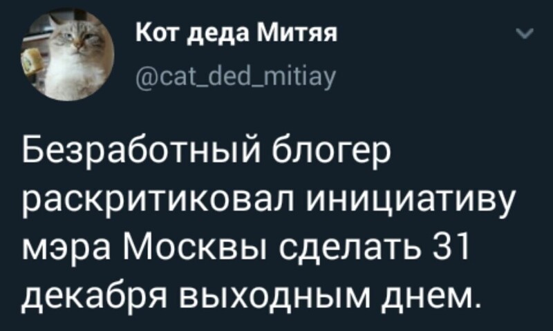 Политические комментарии из инета