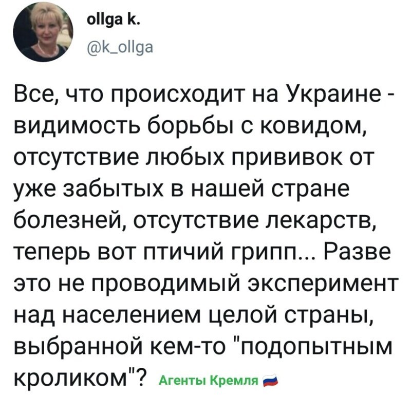 Свиней и сала не осталось, зато полно морских свинок....