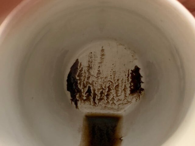 12. Лес в чашке кофе