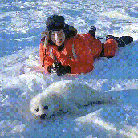 Гифки Гифки
