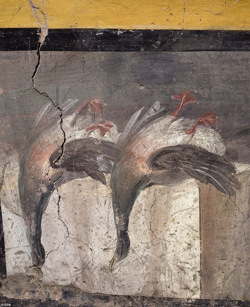 Археологи откопали салат-бар в Помпеях