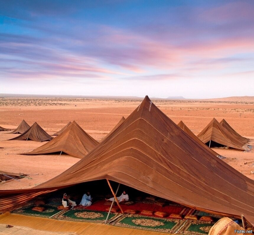 Бедуины в Сахаре, Марокко