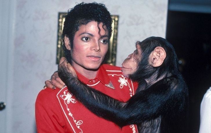 13. У Майкла был ручной шимпанзе по кличке Баблз