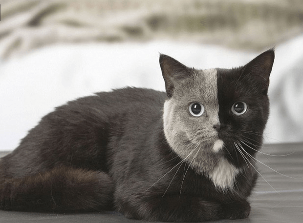 Интересно от Игорь за 01 января 2021