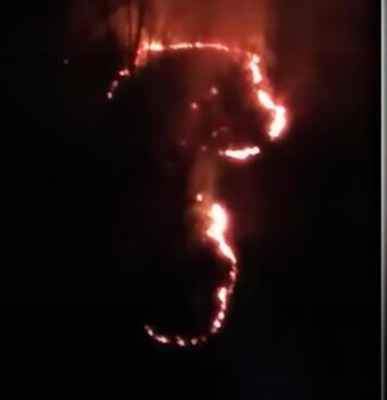 "Дурной знак": пожар, случившийся в лесу от фейерверка, вызвал у сочинцев нехорошие ассоциации