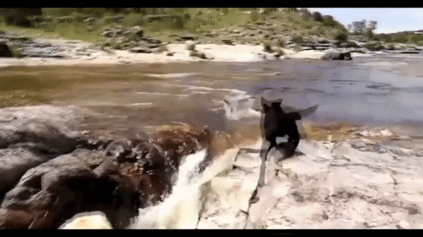 Просто гифки, всякие и разные