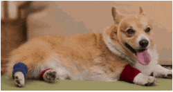 Просто гифки, всякие и разные