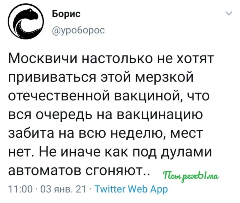 Политические скрины