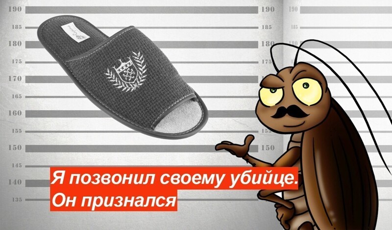О политике и не только