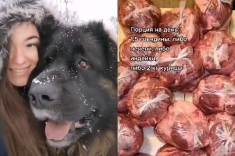 "Это кощунство!": российская пенсионерка разозлилась, услышав о рационе огромного пса