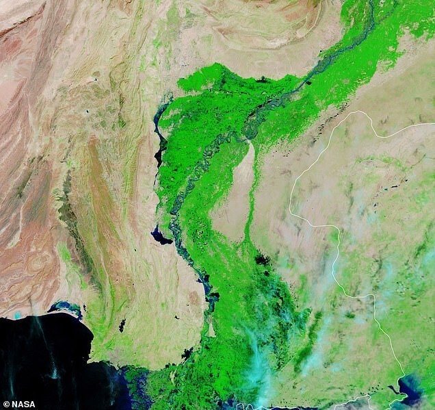 На этих изображениях в искусственных цветах показана часть провинции Синд на юго-востоке Пакистана до и после наводнения из-за муссонных дождей в 2020 году