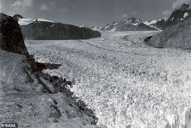Слева - 1941 год, ледник Мьюир и ледник Риггс, Аляска. Справа - 2004 год, к этому моменту Риггс отступил на 640 метров, и оба ледника заметно истончились