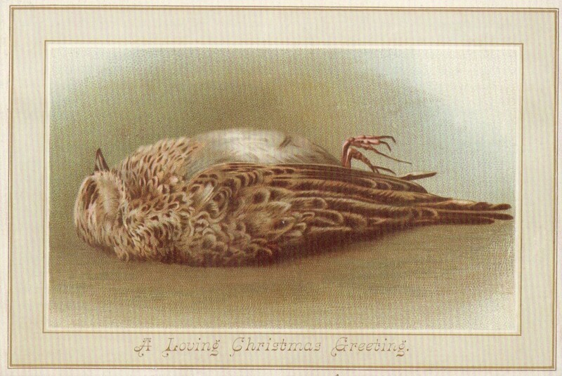 Почему рождественские открытки времена королевы Виктории не похожи на праздничные