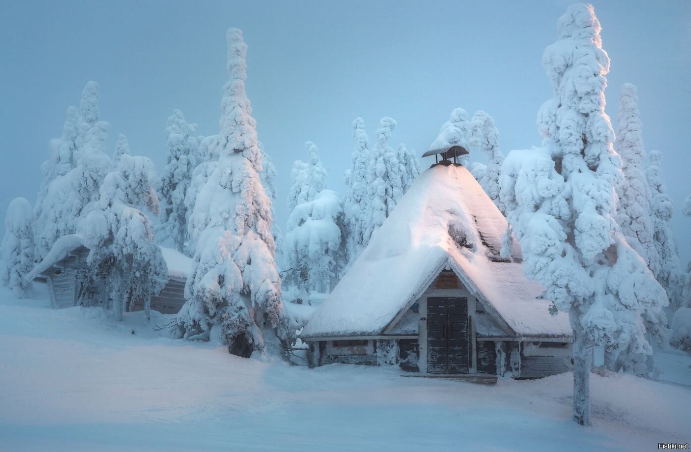 Зимний лес и домик фон