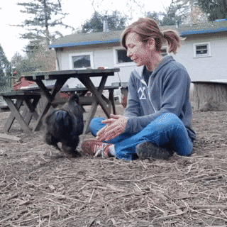 Женский образ в гифках