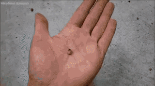 Просто гифки, всякие и разные