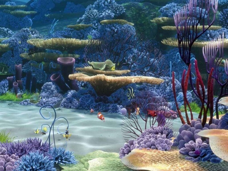 Кораллы, коралловый риф (28 фото)