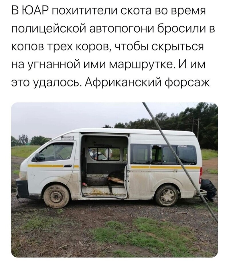 О политике и не только