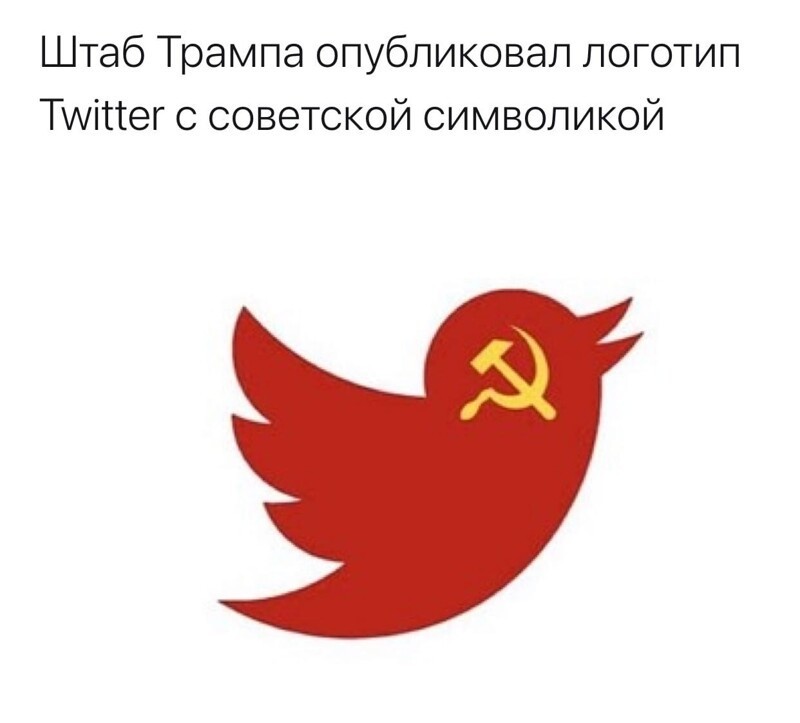 О политике и не только