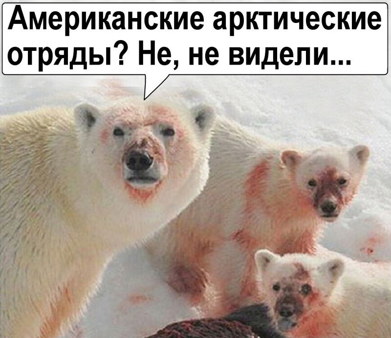 О политике и не только