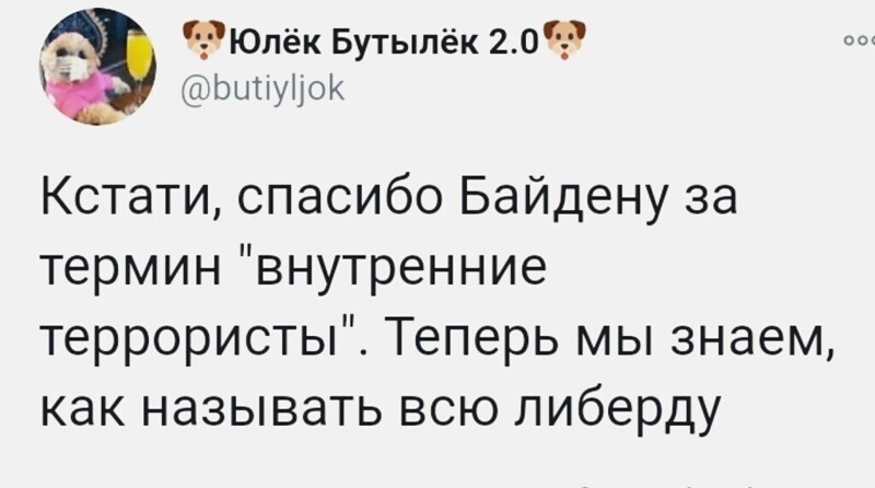 О политике и не только