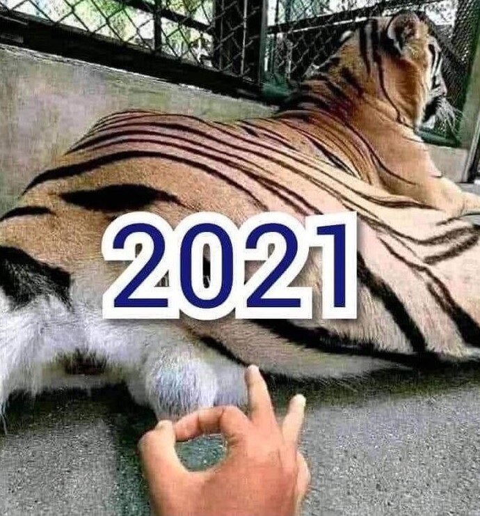 Приколы 2021 год