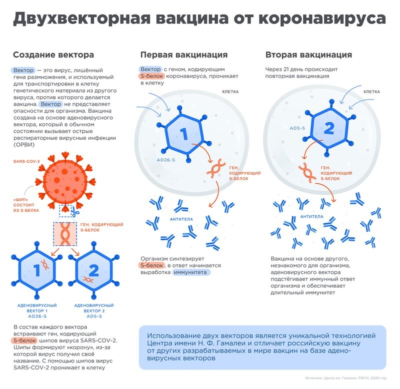 Прививка от короны: делать или не делать