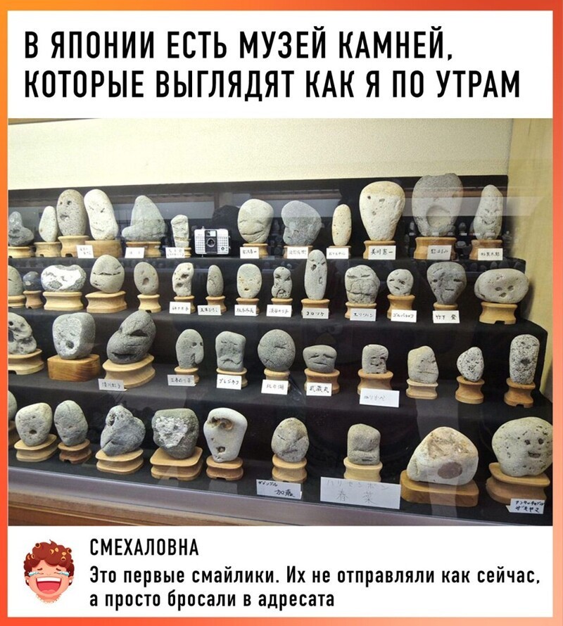 Веселые  картинки