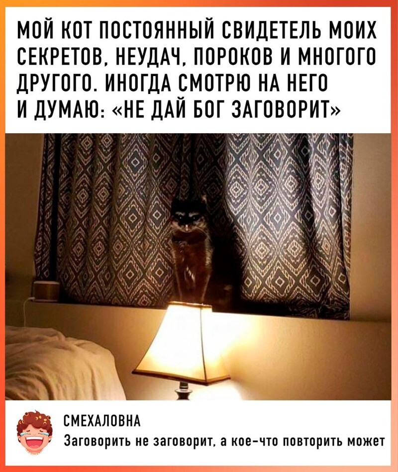 Веселые  картинки